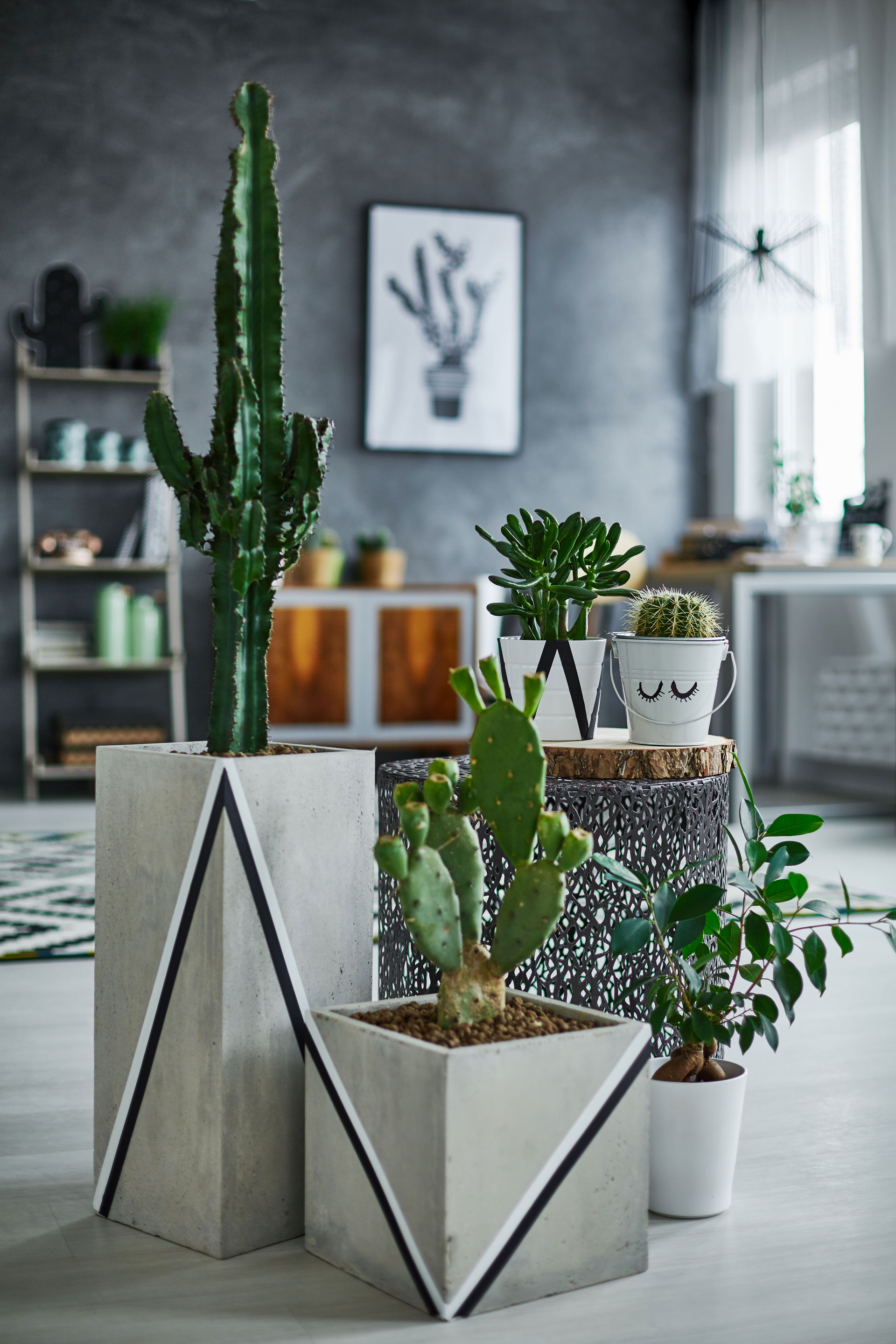 Intérieur green : des plantes élégantes ET dépolluantes