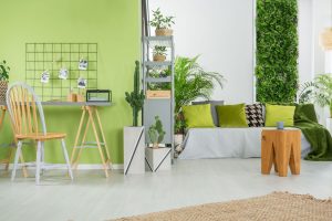 Intérieur green : des plantes élégantes ET dépolluantes