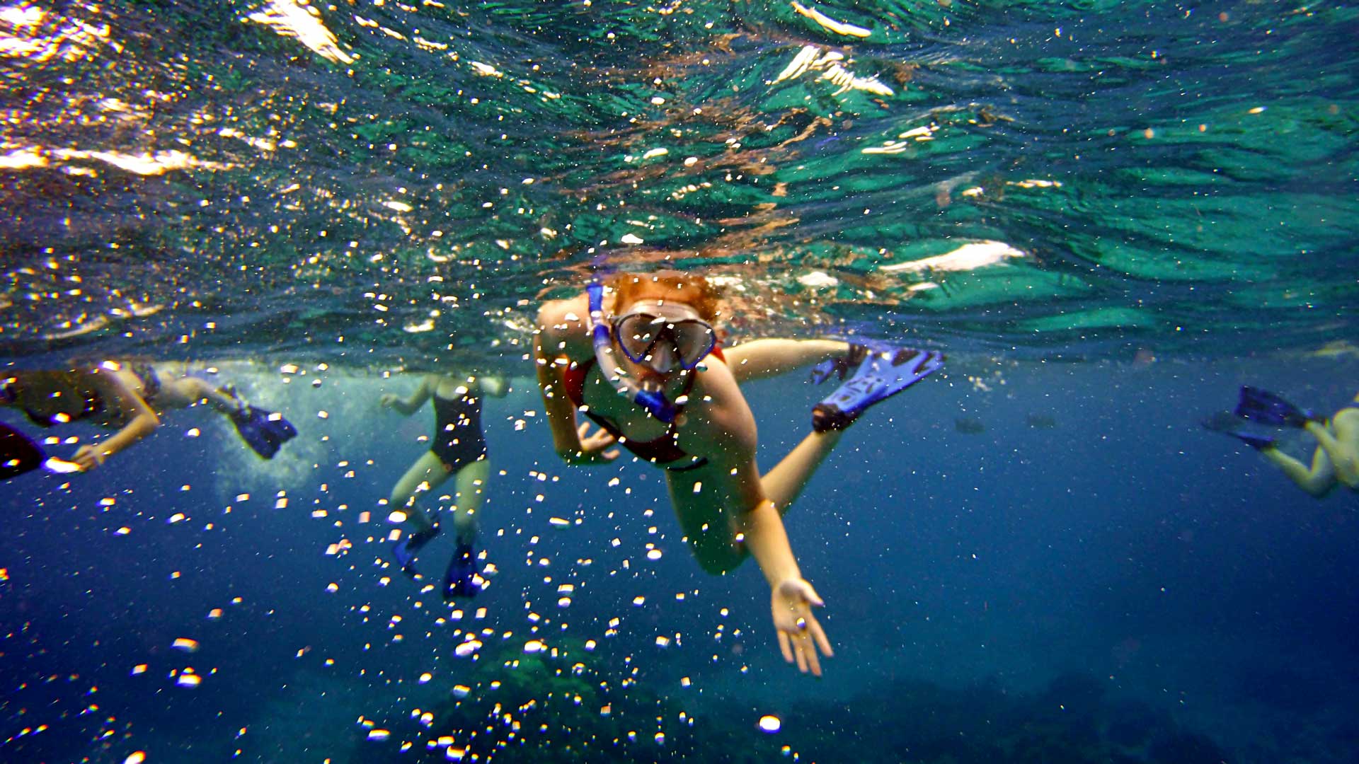 plongée sous marine