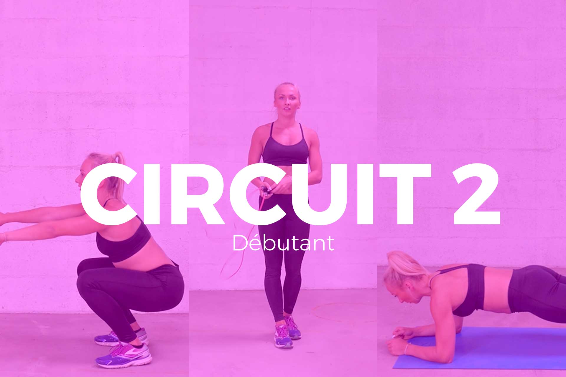 circuit 2