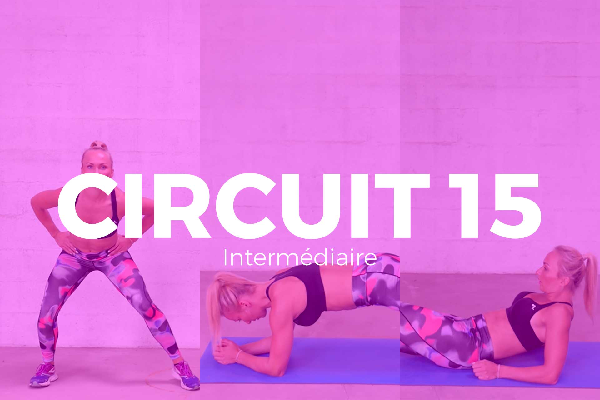 circuit 15