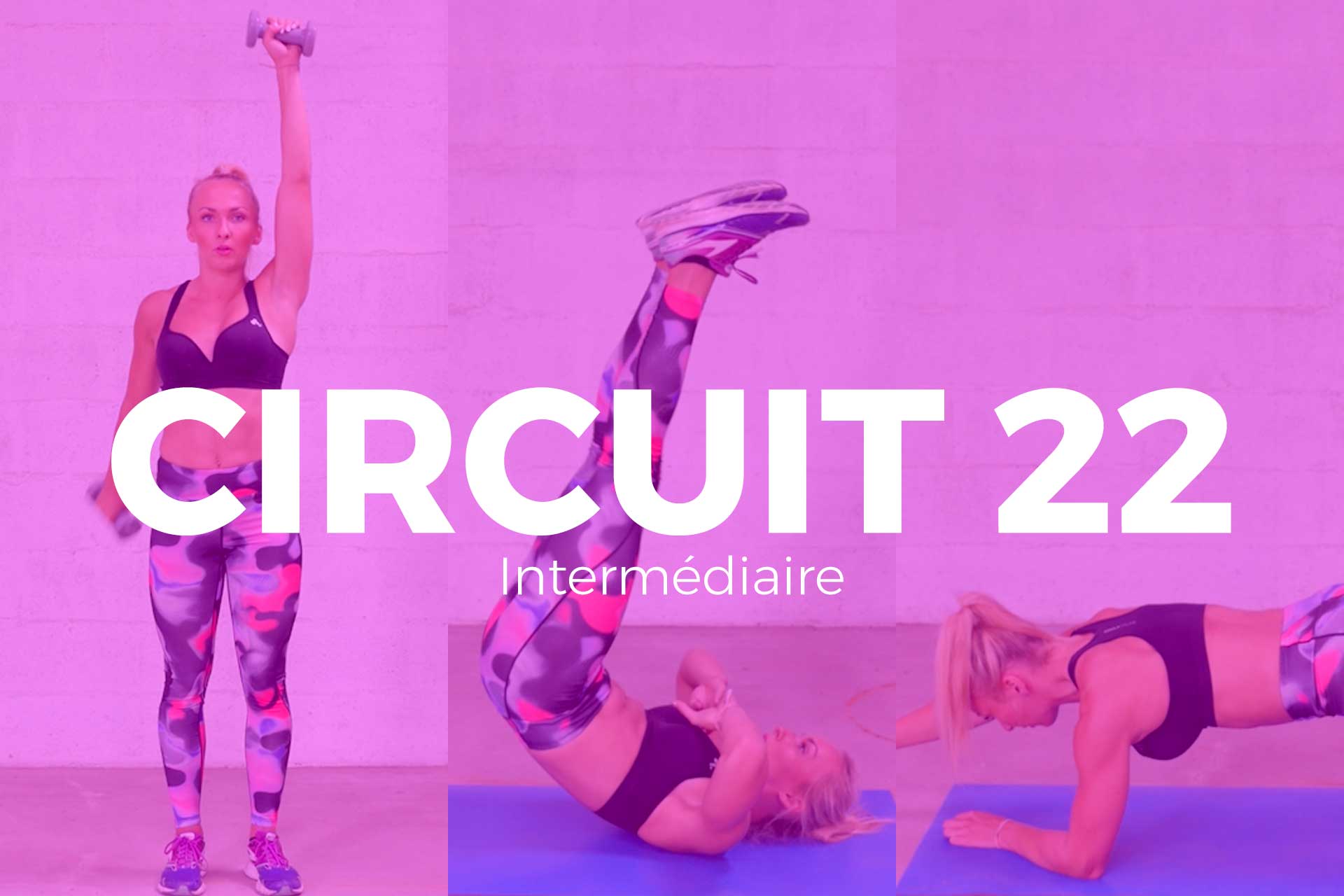 circuit 22